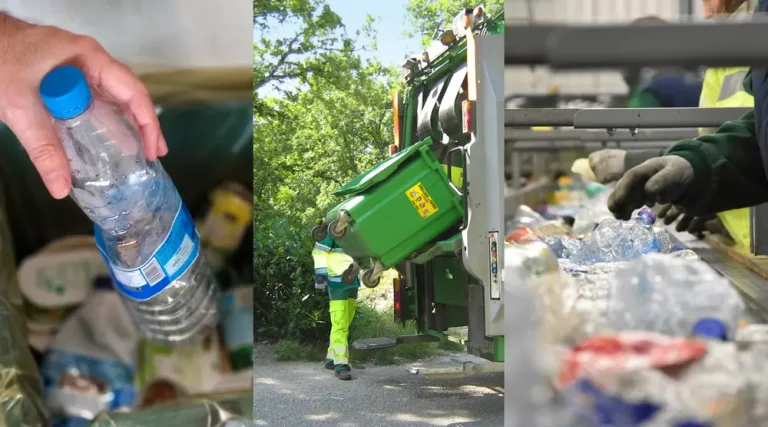 récolte et tri des déchets